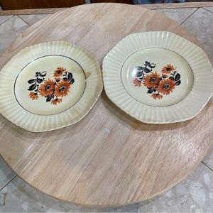 Vintage Edwin Knowles desert plate 2